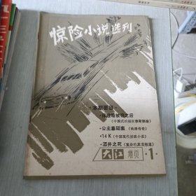 惊险小说选刊 1