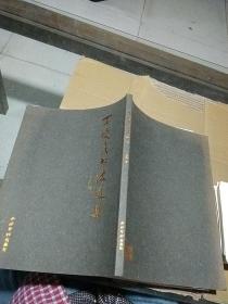 丁晓飞书法选集。