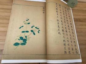 古籍再造善本 明 履巉岩本草 一函三册 线装精制 据中国国家图书馆馆藏明抄彩绘本原书影印。为王介绘撰于公元1220年 现仅存明代抄本，该书收录了许多草药，多数药图彩绘精良，对了解南宋时杭州一带民间用药的发展情况及本草考证等方面都有其重要意义。 书分三卷。收药206种，不分部类。每药一图，兼述各药性味、功治、单方、别名等。药图均系写生彩绘，常截取植株局部以表现全体，为今存最早之彩绘地方本草图谱。