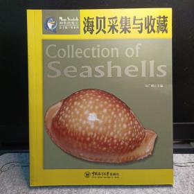 海贝采集与收藏