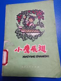 小鹰展翅（馆藏）