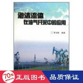 泡沫流體在油氣開采中的應(yīng)用 能源科學(xué) 李兆敏