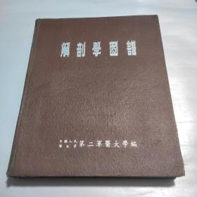 解剖学图谱  53年一版一印精装本仅印2000本