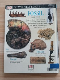 英文书 DK Eyewitness Books: Fossil by Paul Taylor (Author)