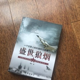 盛世狼烟：一个空军上校的国防沉思录