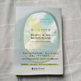 另一片四叶草——一部关于爱、信念和抗逆力的回忆录 精装版