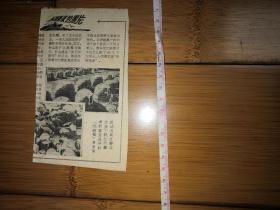 剪报（毛泽东，70年代药品广告，生活类14张合售，最后一张照片里小的赠送）