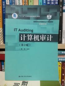 计算机审计（第2版）/教育部经济管理类主干课程教材·审计系列