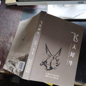飛天犀牛