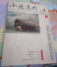 小说选刊2009年第6期