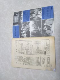 电影介绍（1980年1～12期）