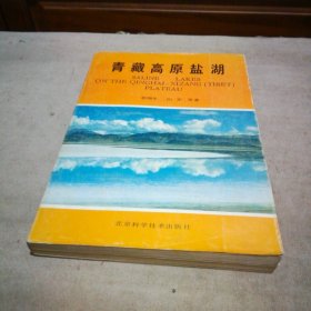 青藏高原盐湖