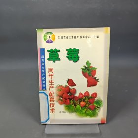 草莓周年生產(chǎn)配套技術(shù)——蔬菜周年生產(chǎn)配套技術(shù)叢書