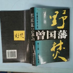 曾国藩长篇历史小说第2部野焚