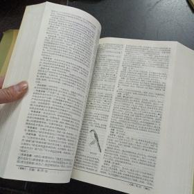 辞海 上中，2册合售,3.9kg——s3