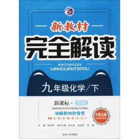 新教材完全解读山东教育版九年级化学（下）