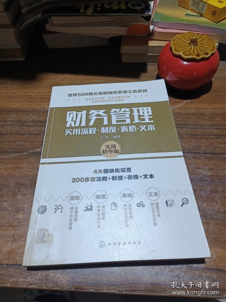 世界500强企业精细化管理工具系列--财务管理实用流程·制度·表格·文本