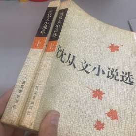 沈从文小说选（上下）