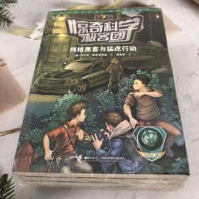 惊奇科学极客团：网络黑客与猛虎行动；密码争夺大战；GPS生死谜题；钢铁人的生化武器；虚实之间的数码王国。5本合售