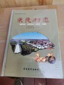 东良村志:招远市地方志书系