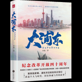 大浦东（喜迎浦东开发开放30周年！）