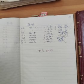 1980年代北京大学现金明细帐/器材室发料登记表/预付款暂付款报销单/收支册等7本合售