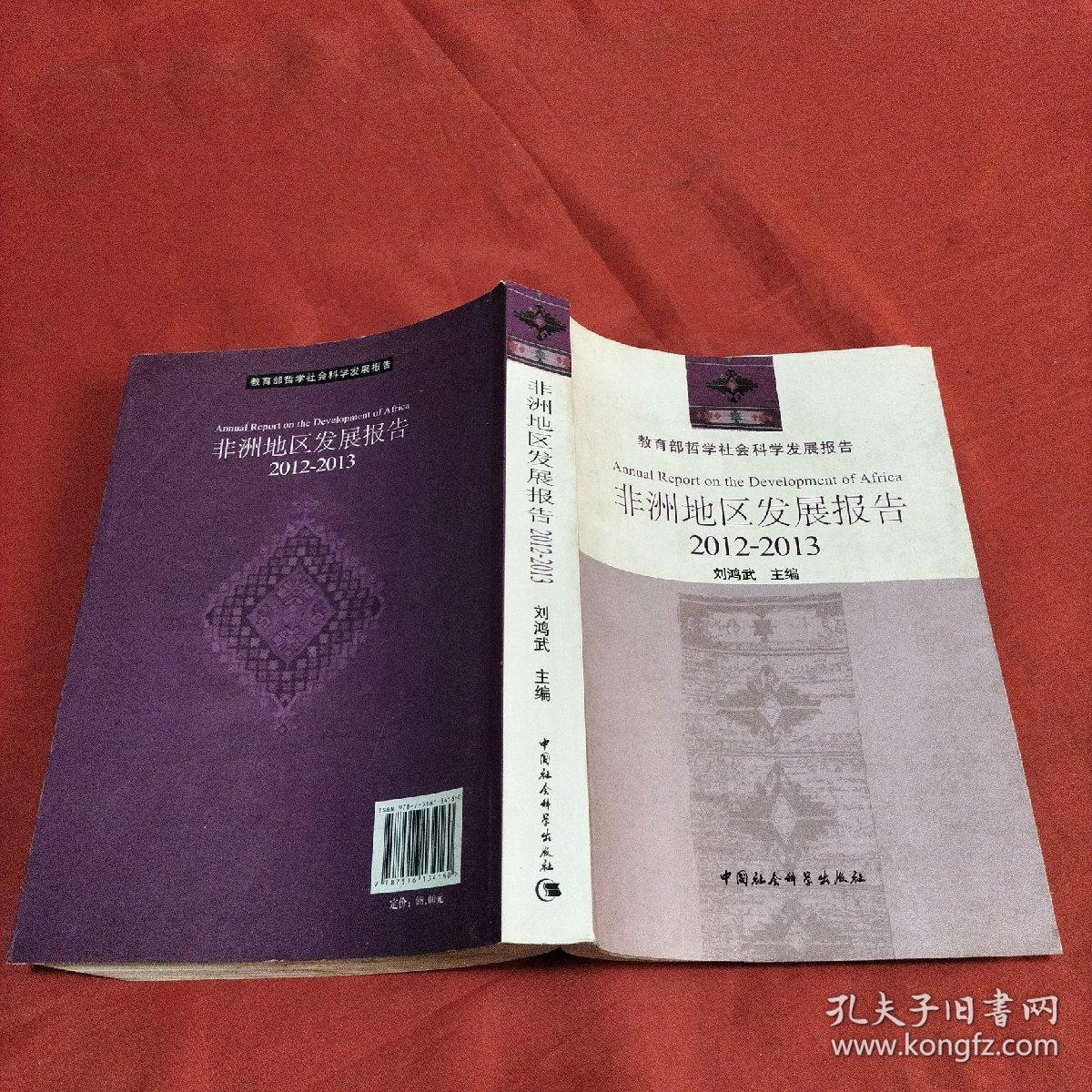 教育部哲学社会科学发展报告：非洲地区发展报告（2012-2013）