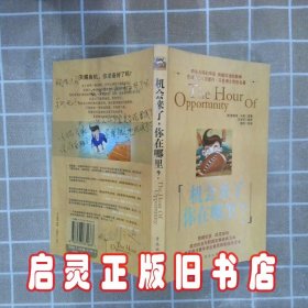 机会来了，你在哪里 （美）奥里森·马登 原著 万吉琼 魏玮 绘画 青岛出版社