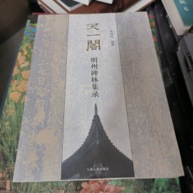 天一阁明州碑林集录