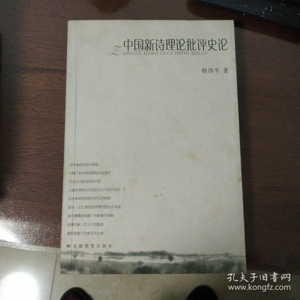 中国新诗理论批评史论