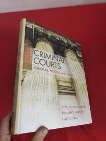 Criminal Courts       （大16开，硬精装）   【详见图】
