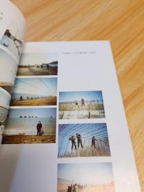 东北型日光棚室技术