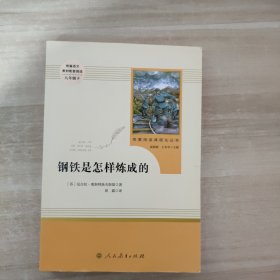 统编语文教材配套阅读 八年级下：钢铁是怎样炼成的/名著阅读课程化丛书