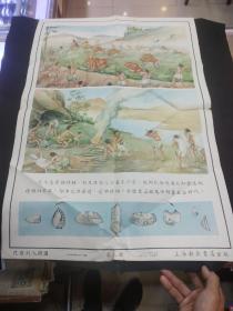 从猿到人挂图（九）山东自然科学教育研究所编绘  上海新亚书店出版（78/53厘米）