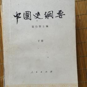 中国史纲要.下册