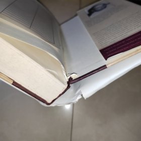 Norton Book of American Autobiography 诺顿美国自传文学选集【杰伊·帕里尼编订,维达尔作序。英文版精装,好纸印刷】打包后超一公斤重