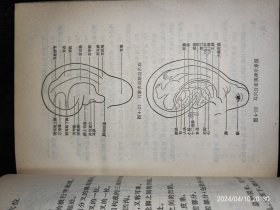 全国针刺麻醉资料汇编