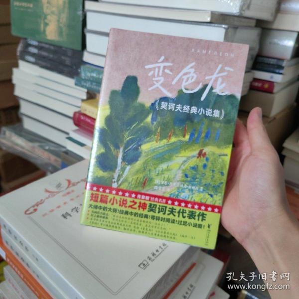 变色龙：契诃夫经典小说集（村上春树、毛姆推崇的短篇小说神作！零碎时间读，过足小说瘾！译自俄语原版！全新插图珍藏版！读经典名著，认准作家榜！）