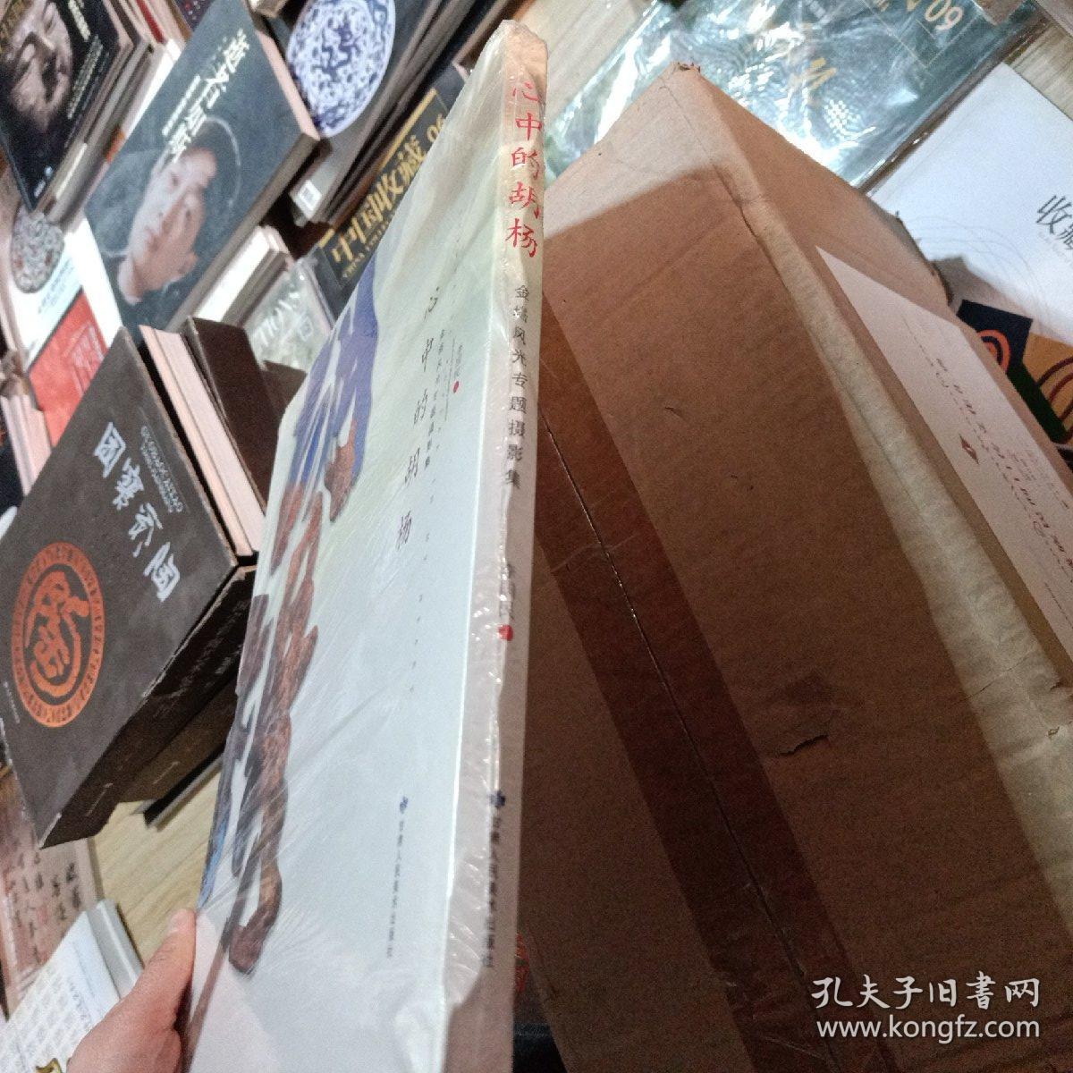 点击查看原图 心中的胡杨:金塔风光专题摄影集