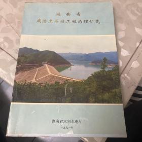 湖南省病险石坝工程治理研究