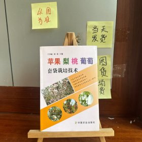 蘋果 梨 桃 葡萄套袋栽培技術(shù)