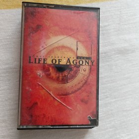 打口磁带 :另类摇滚 LIFE OF AGONY乐队（1997年）《SOUL SEARCHING SUN》。