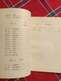 大专班试用教材.现代壮语文.阅读.词汇.语法部分