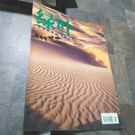 绿叶2004.2