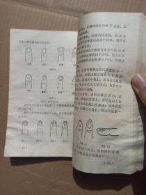 手相之谜