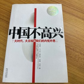 中国不高兴：大时代大目标及我们的内忧外患