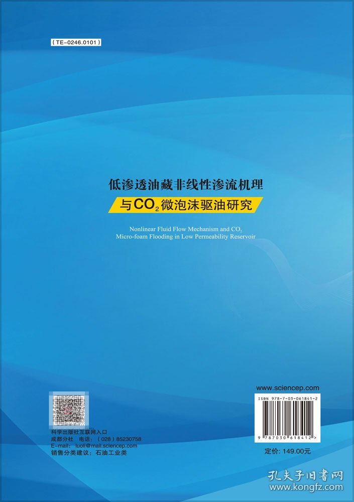 现货 低渗透油藏非线性渗流机理与CO2微泡沫驱油研究 郭肖 等 科学出版社