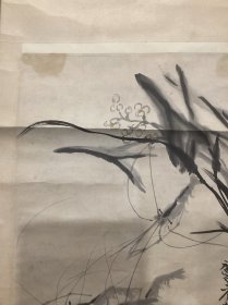 齐白石著名弟子许麟庐先生画虾作品