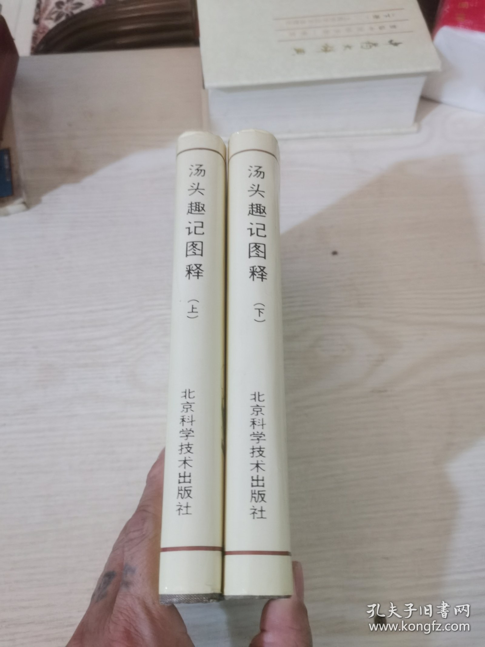 汤头趣记图释（上下）