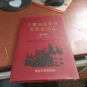合肥钢铁集团有限公司志第4卷（1996-2000）